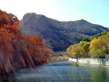 管家婆黑白马报图库，华为 天涯